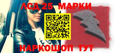 индика Гусев