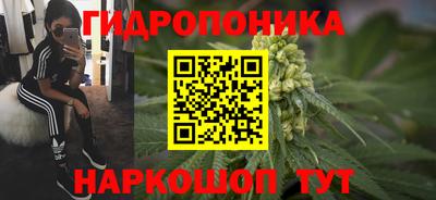 PSILOCYBIN Гатчина