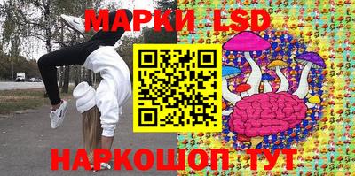 PSILOCYBIN Гатчина
