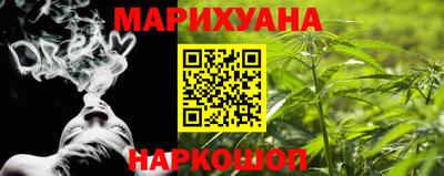 PSILOCYBIN Гатчина