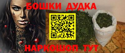 индика Гусев
