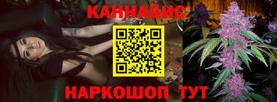 PSILOCYBIN Гатчина