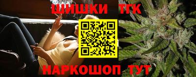 индика Гусев