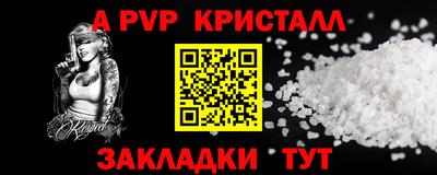 PSILOCYBIN Гатчина